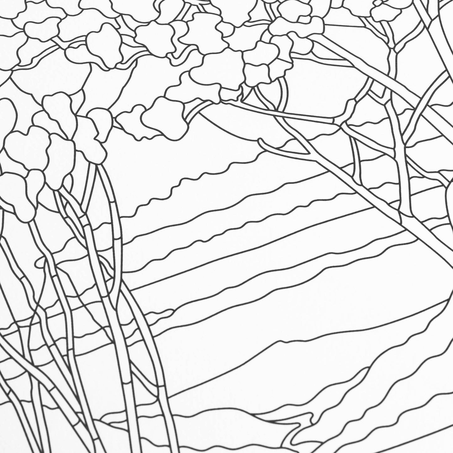 Coloring Book - Louis Comfort Tiffany