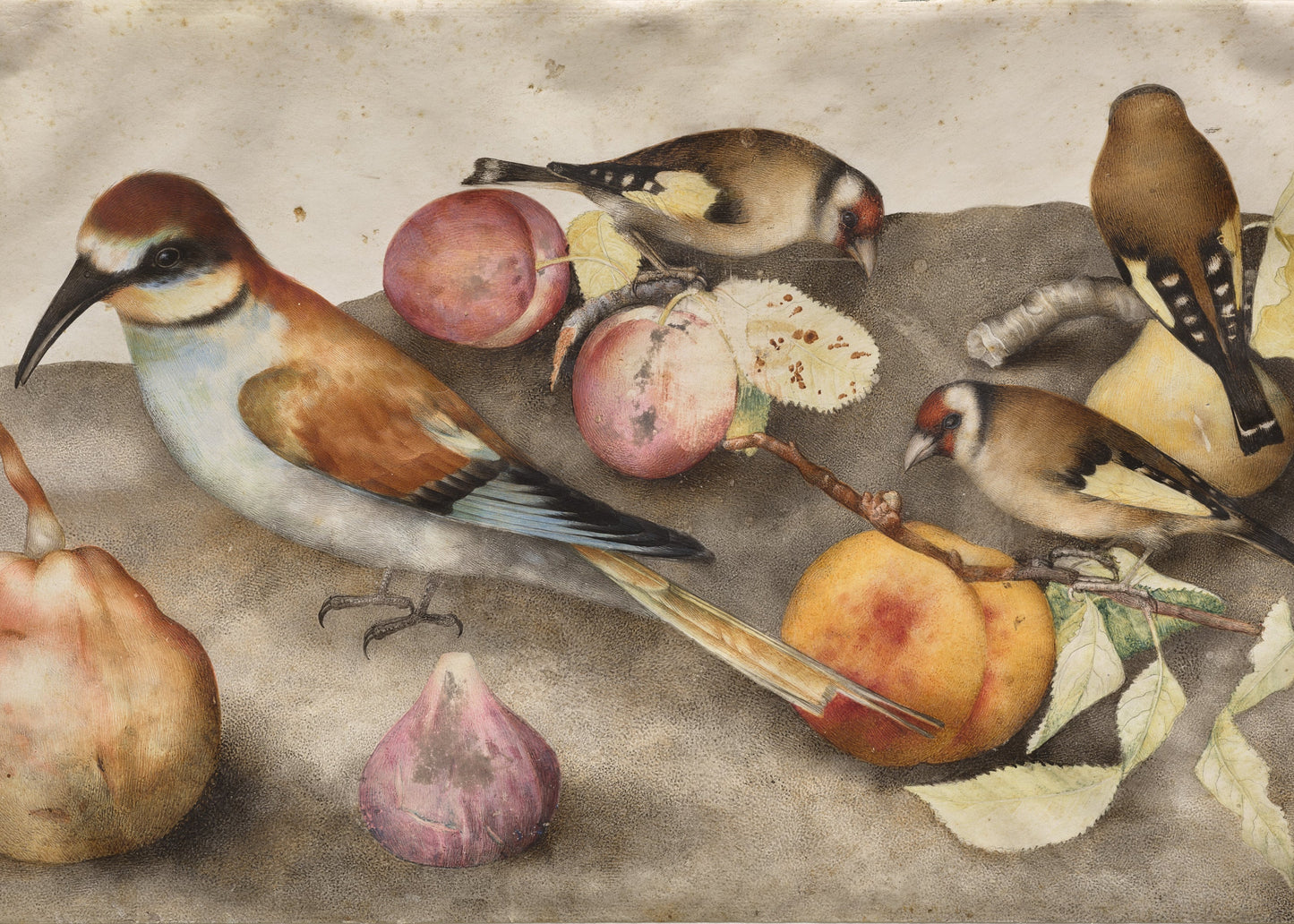 Still life with birds and fruits on a stone surface