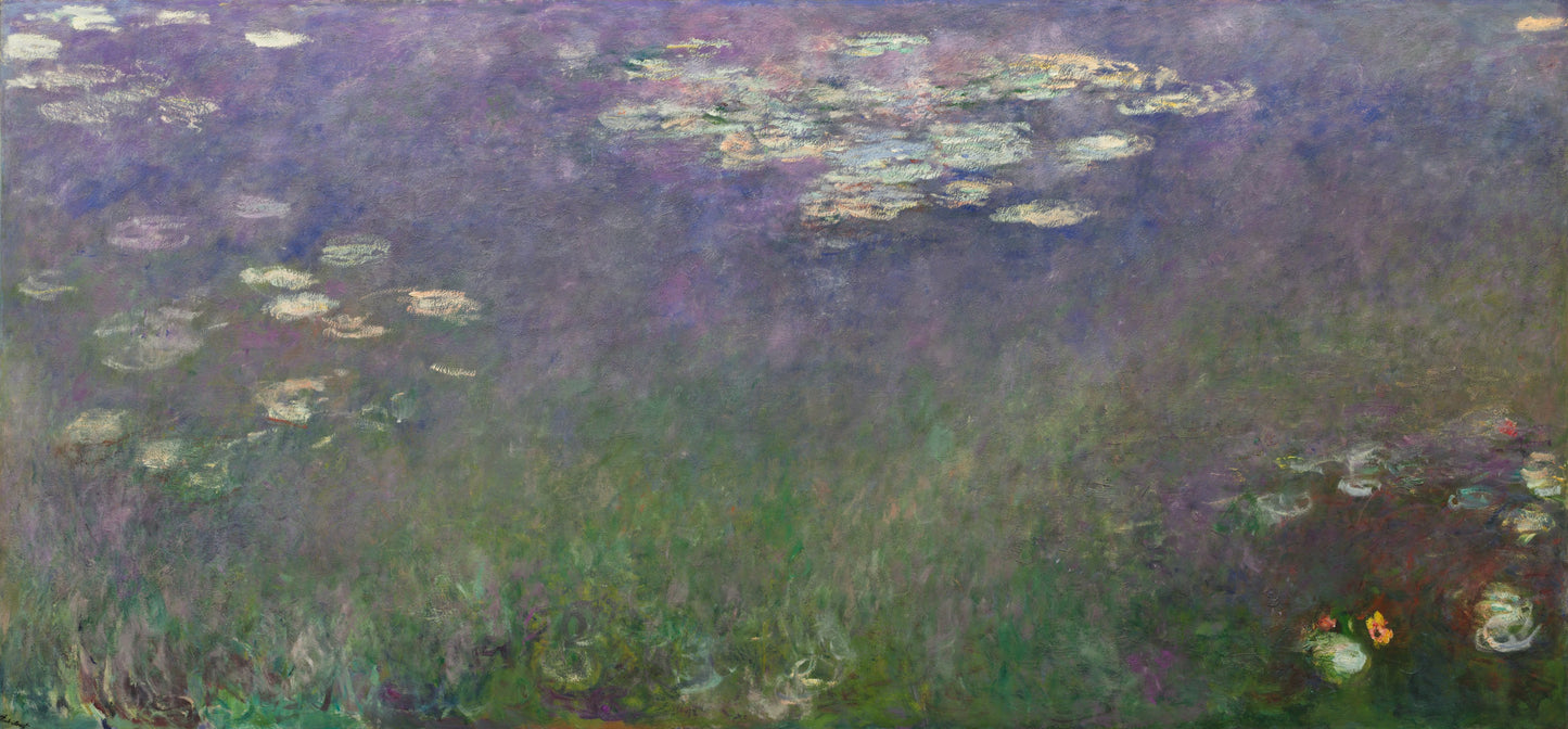 Water Liliies (Agapanthus), c. 1915-26 5x7 Notecard