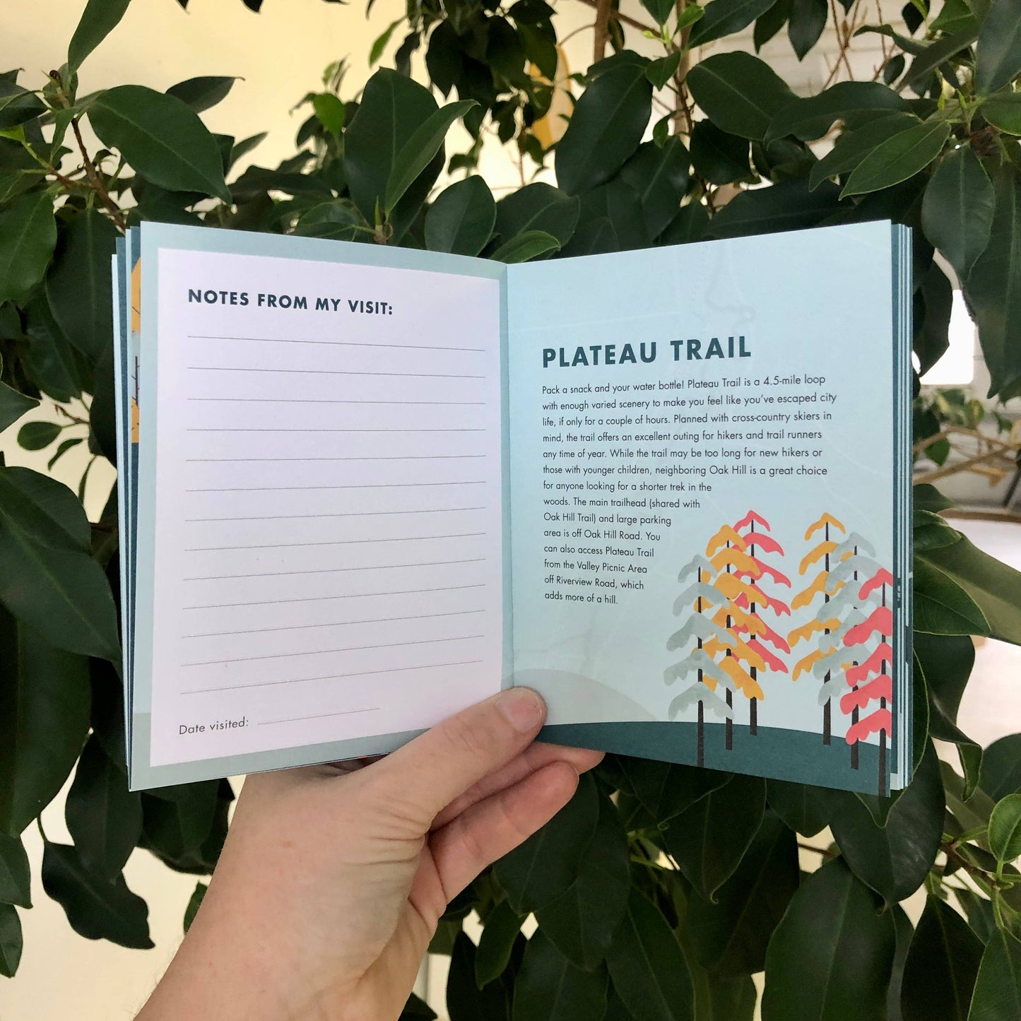 Cuyahoga Valley National Park Mini-Guide