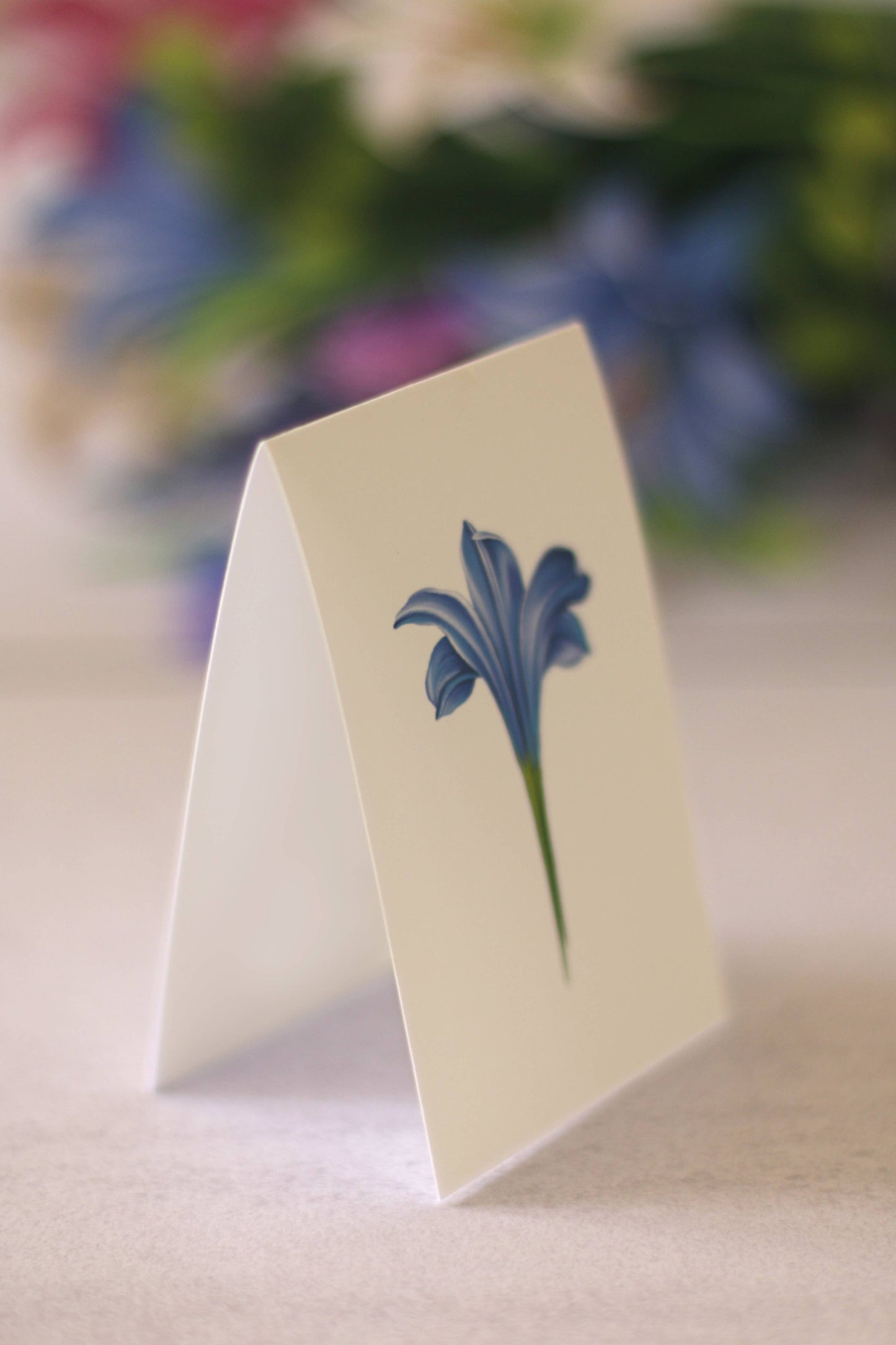 Lilies & Lupines Pop-Up Greeting Card