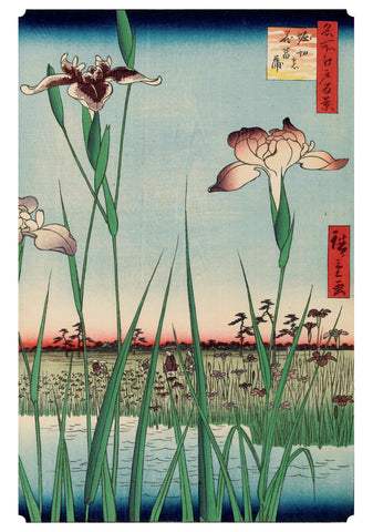 Hiroshige: Horikiri Iris Birthday Card
