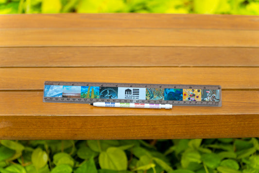 Ruler 12" Plastic Fulll Color