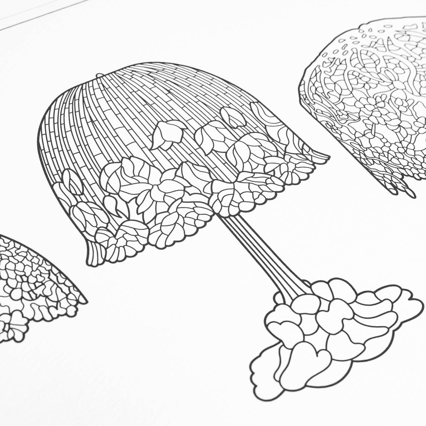 Coloring Book - Louis Comfort Tiffany