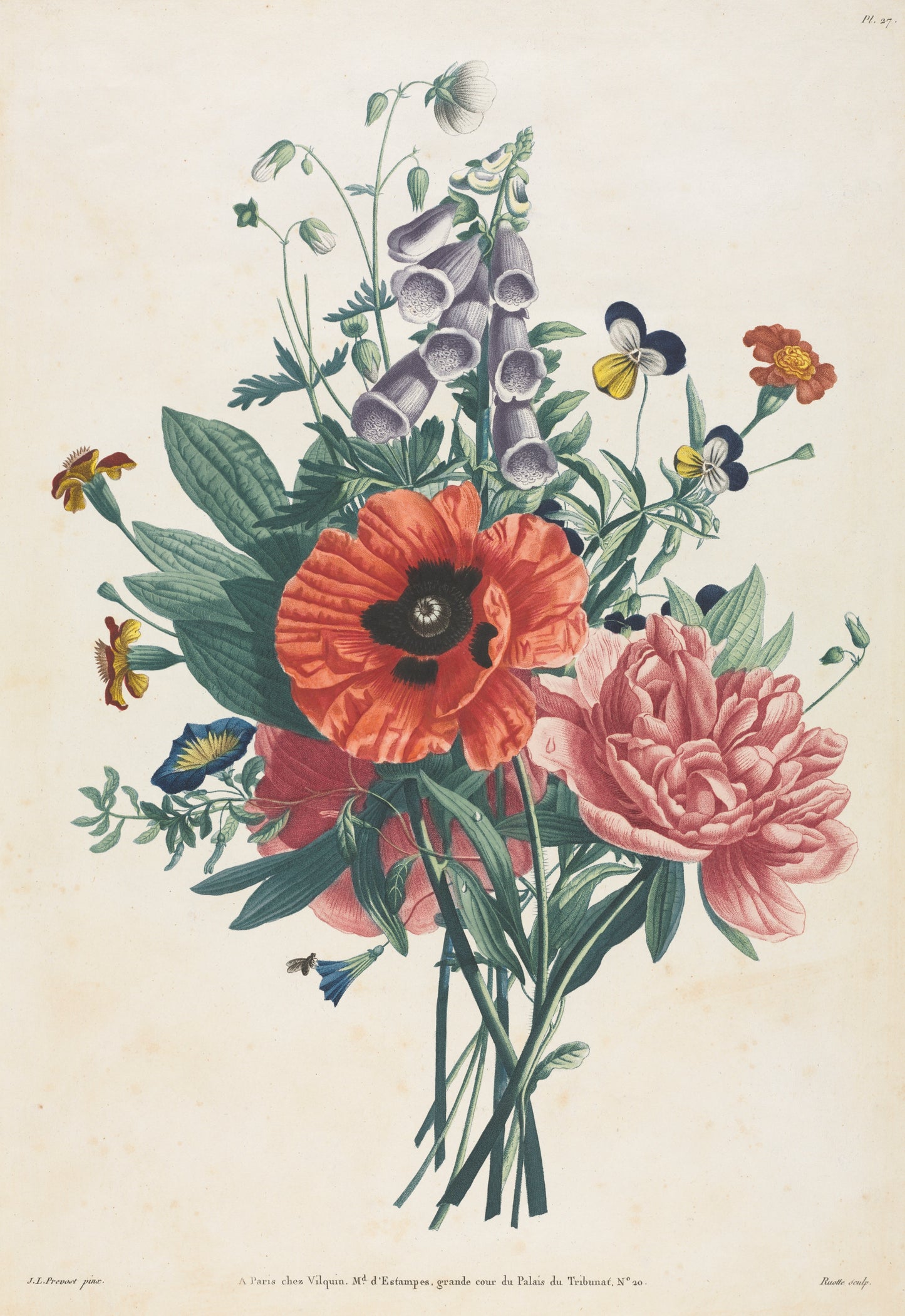 Vintage-style illustration of a bouquet of flowers with a beige background