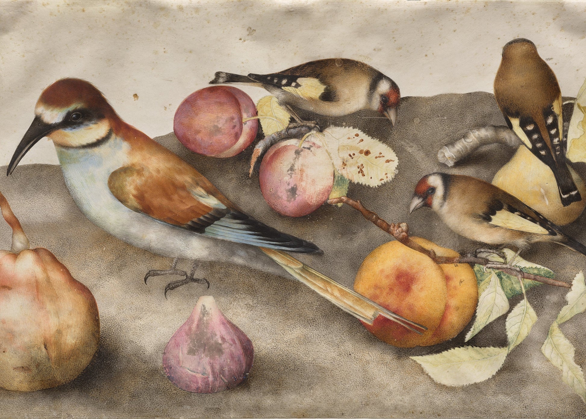 Still life with birds and fruits on a stone surface