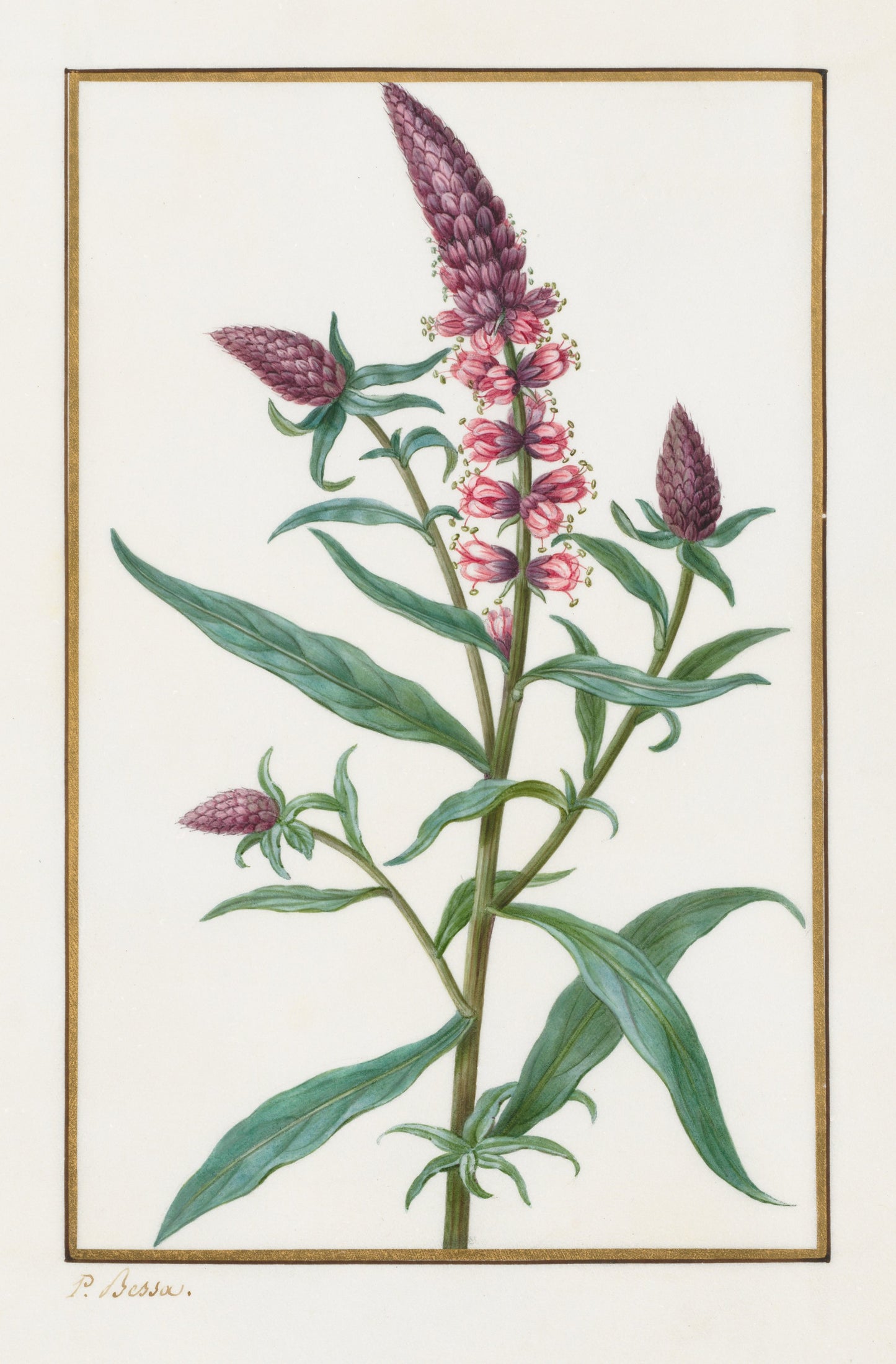 Untitled, 1828-35. Pancrace Bessa 5x7 Notecard