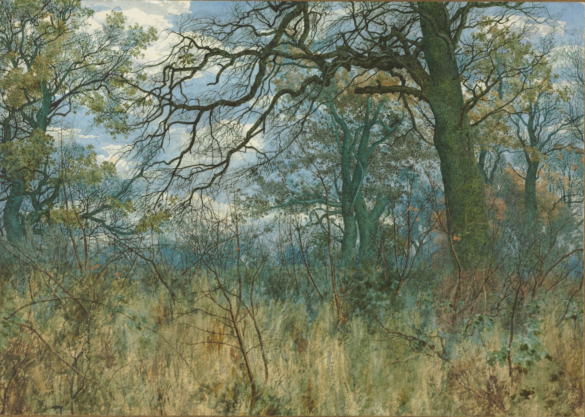 Landscape painting of trees and undergrowth with a blue sky.