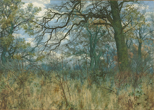 Landscape painting of trees and undergrowth with a blue sky.