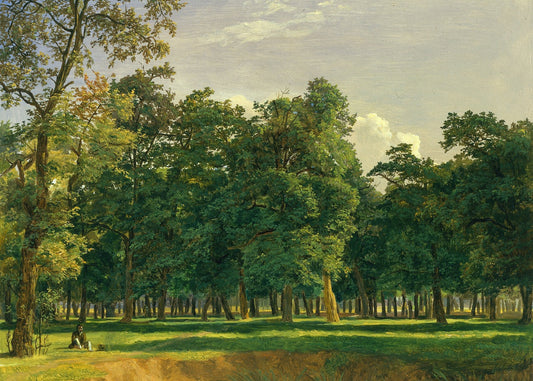 Lush green forest with trees and a clear sky