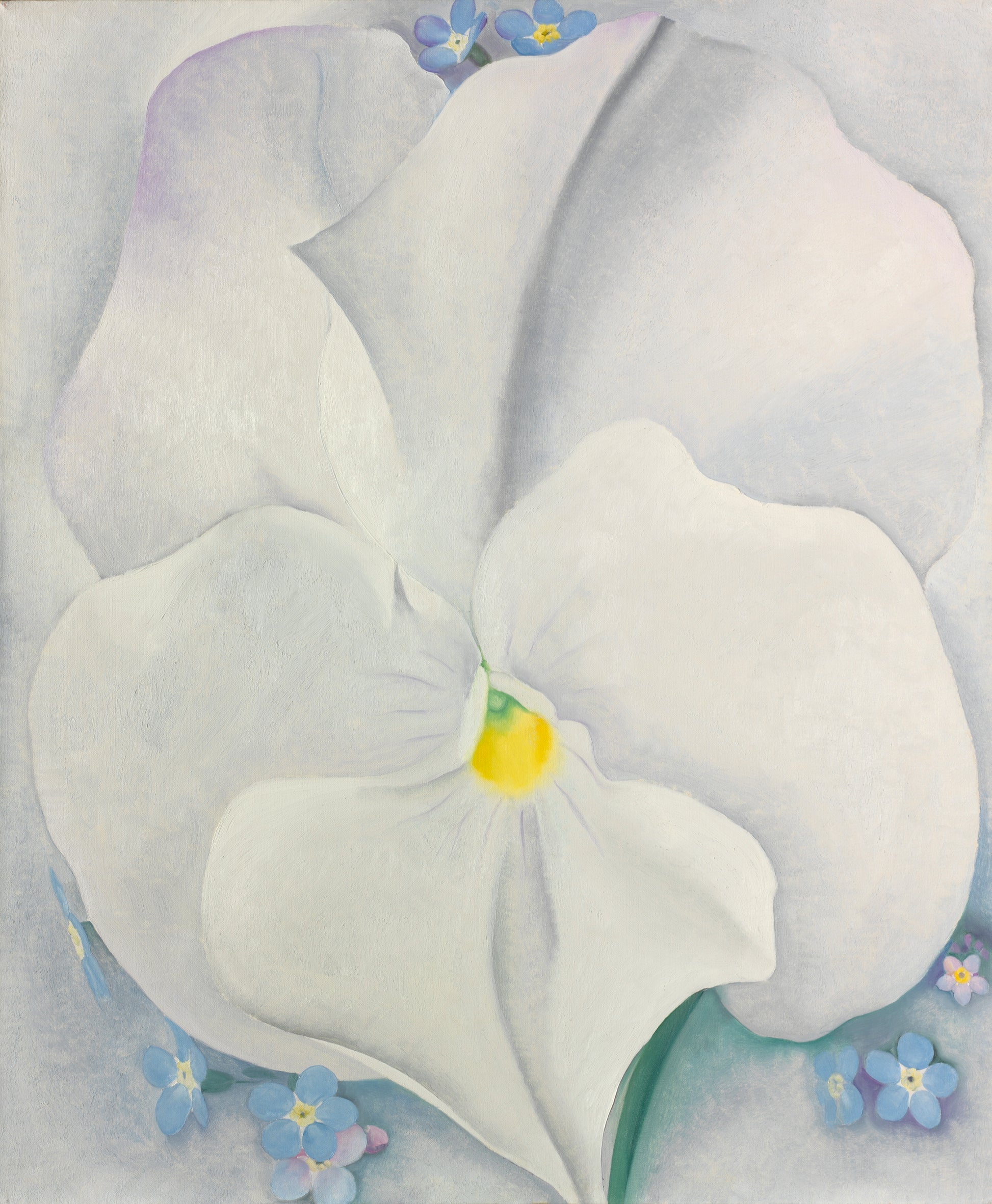 Artistic depiction of a white flower with a yellow center on a light gray background