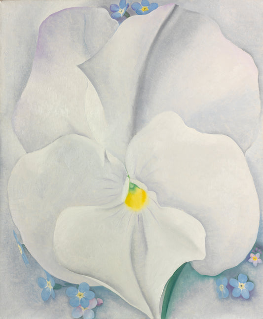 Artistic depiction of a white flower with a yellow center on a light gray background