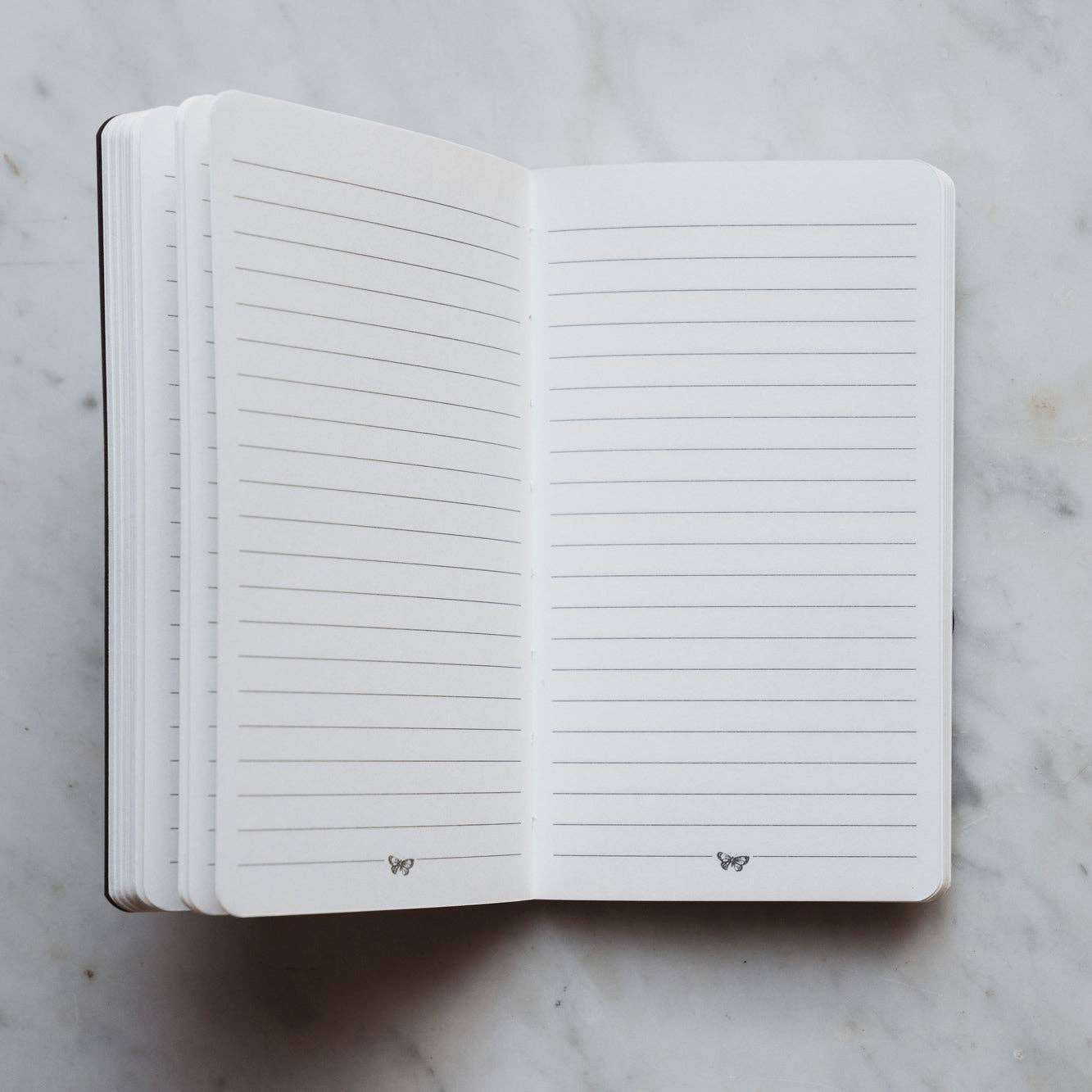 The Pocket Journal - Botticelli's Roses