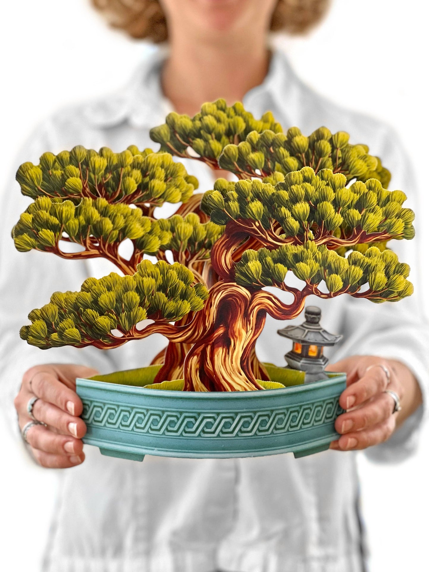 Wisdom Bonsai Pop-up Greeting Cards