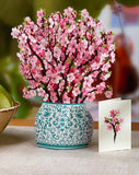 Cherry Blossom Greeting Card