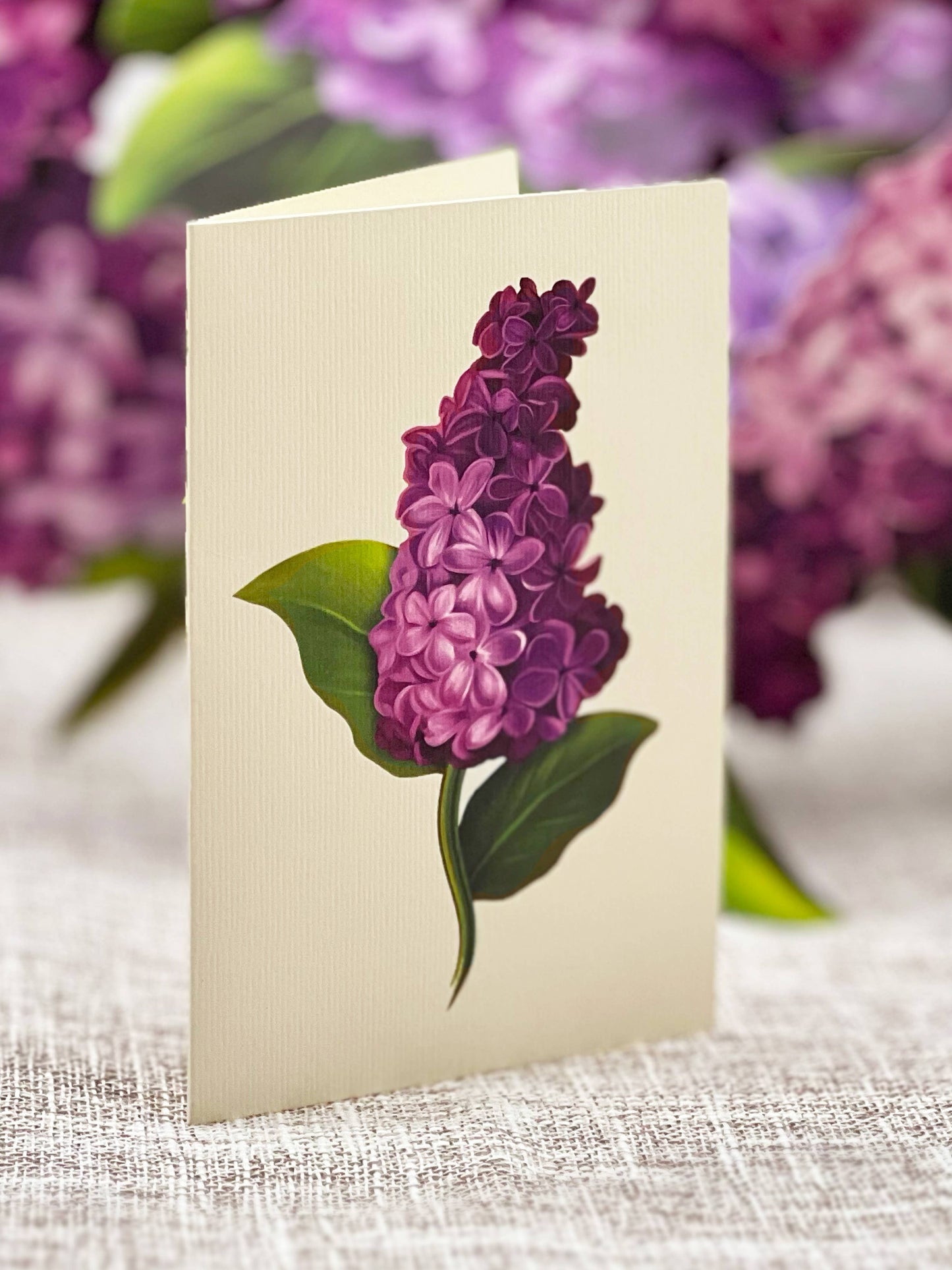 Garden Lilacs Pop-up Greeting Cards