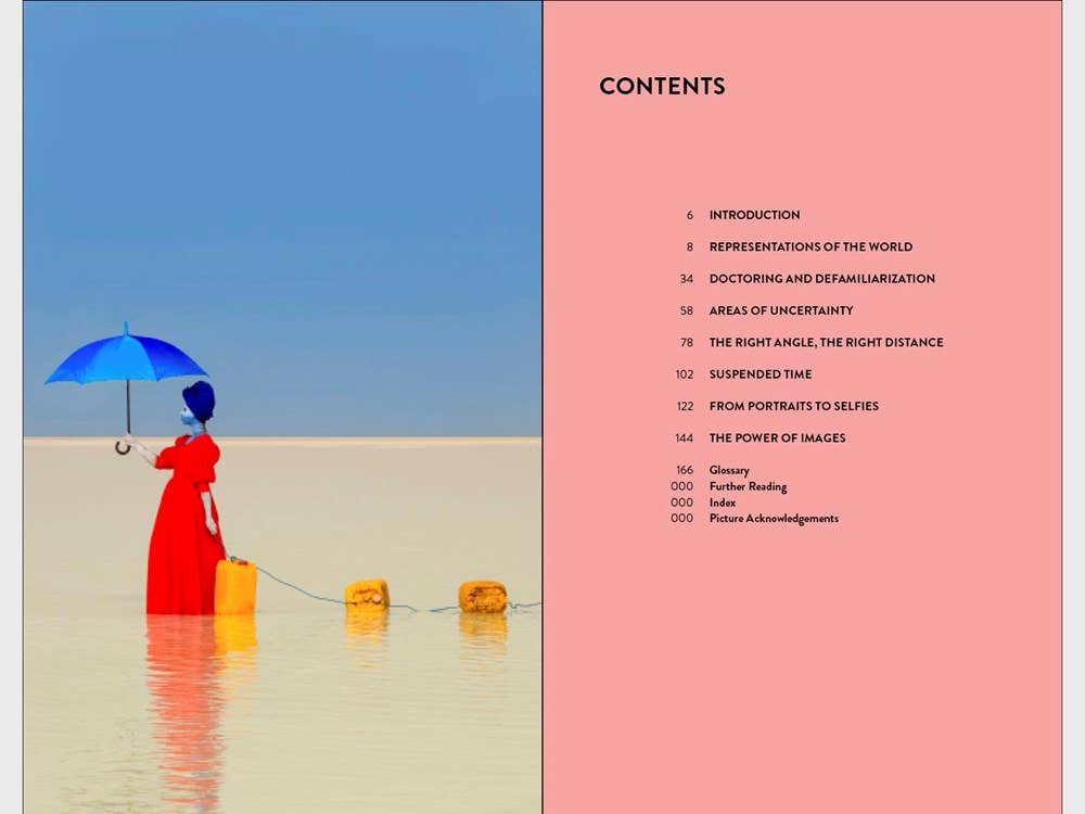 Looking at Photographs (Art Essentials) - Laurent Jullier