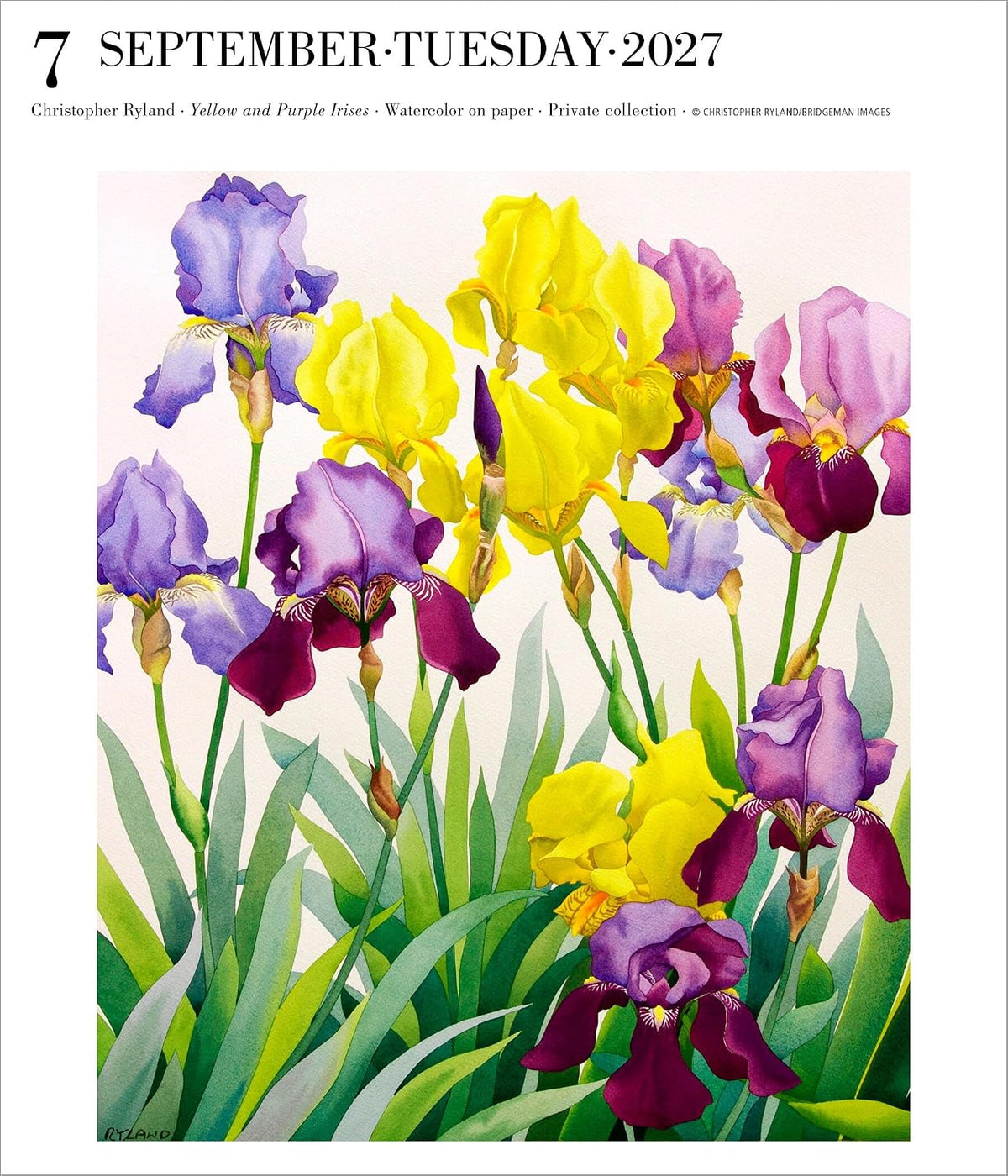 Art Page-A-Day® Gallery Calendar 2027