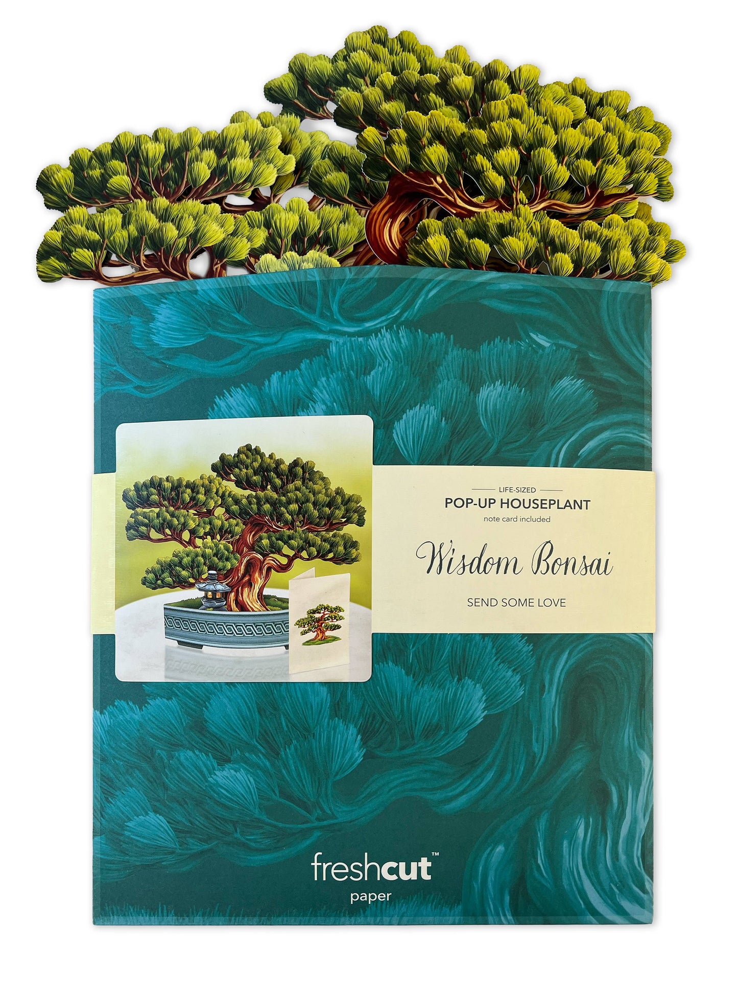 Wisdom Bonsai Pop-up Greeting Cards