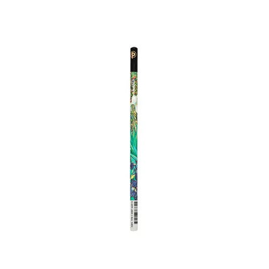 Van Gogh, Irises 4 Pack Pencils