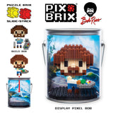 Pix Brix Bob Ross