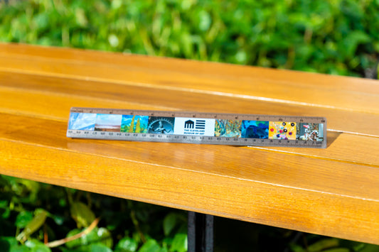Ruler  12" Plastic Fulll Color