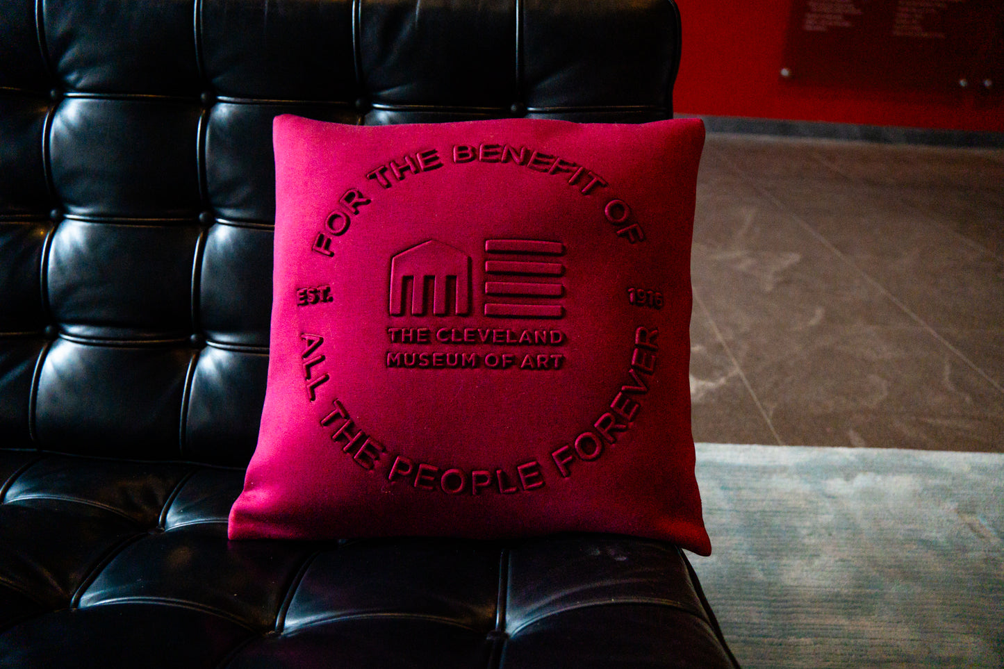 "For the Benefit" Embossed Cushion Cranberry