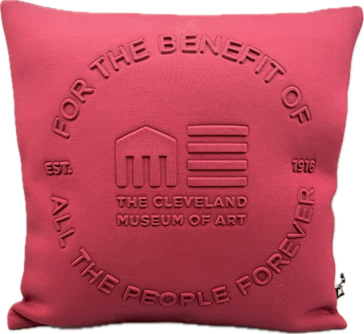 "For the Benefit" Embossed Cushion Cranberry