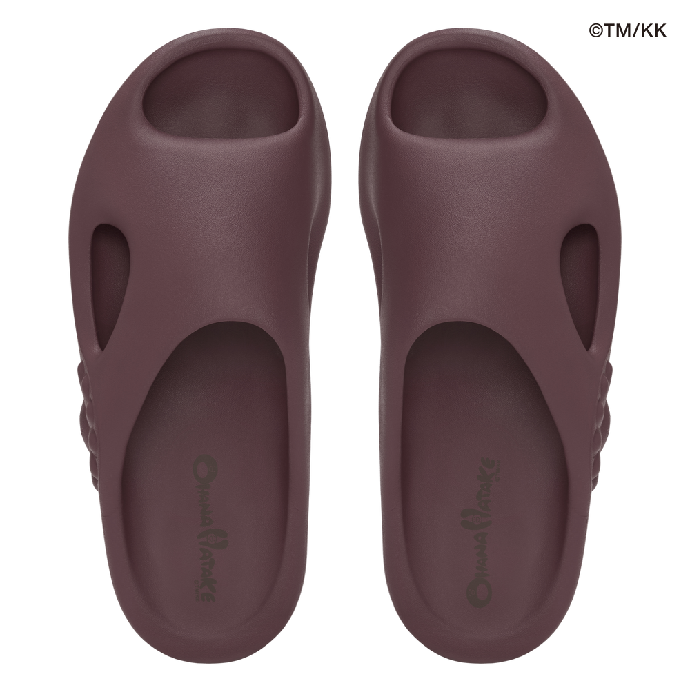 Surippa Ohana Slide