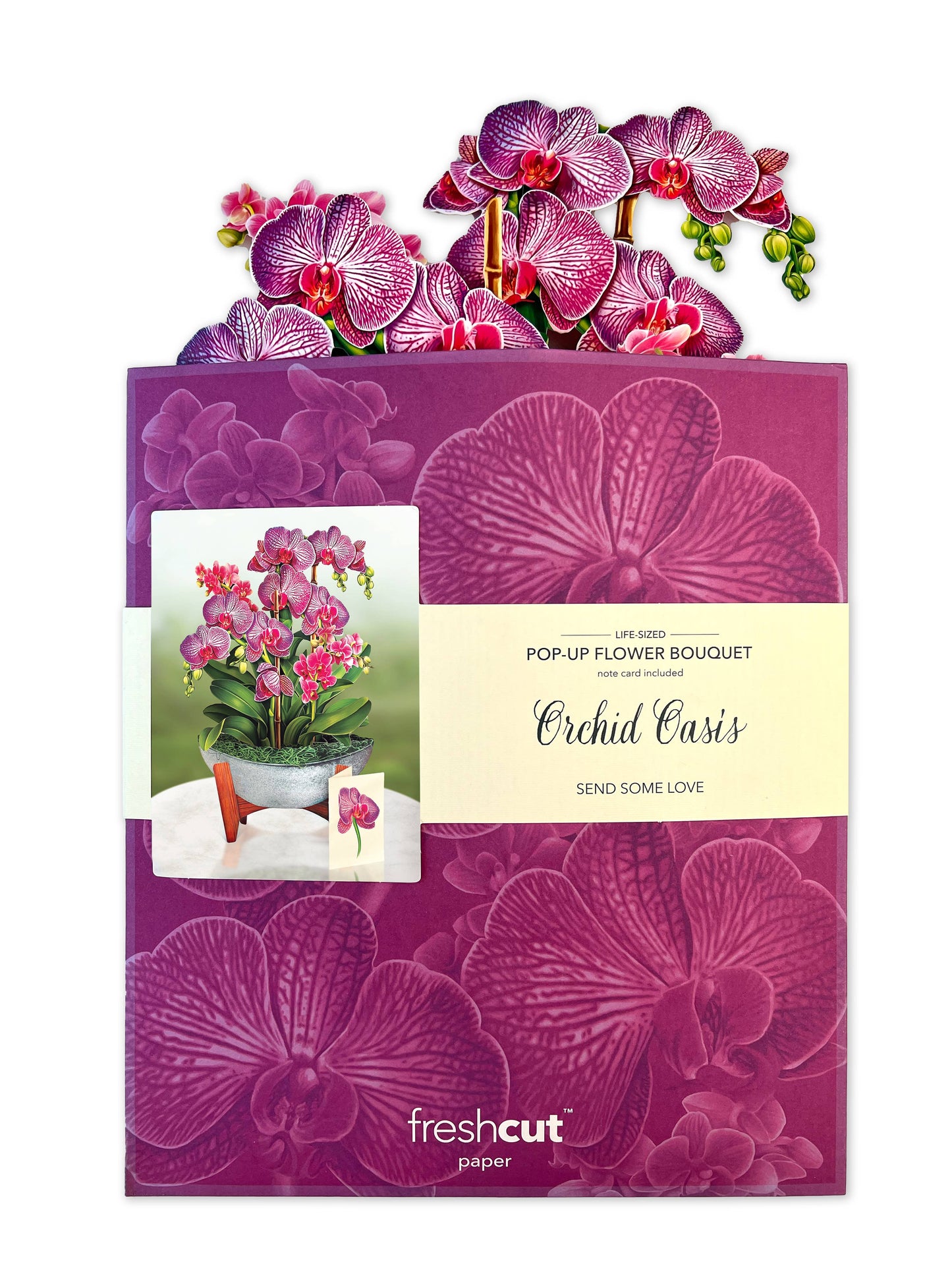 Orchid Oasis Pop-Up Greeting Card