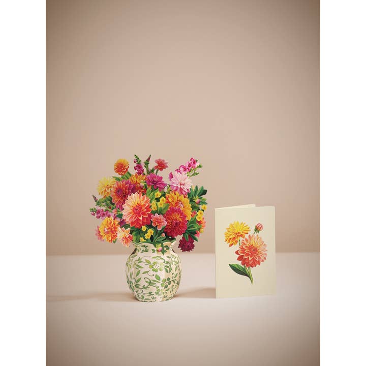 Mini Sunrise Dahlia