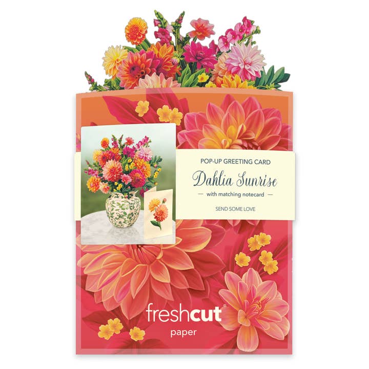 Mini Sunrise Dahlia