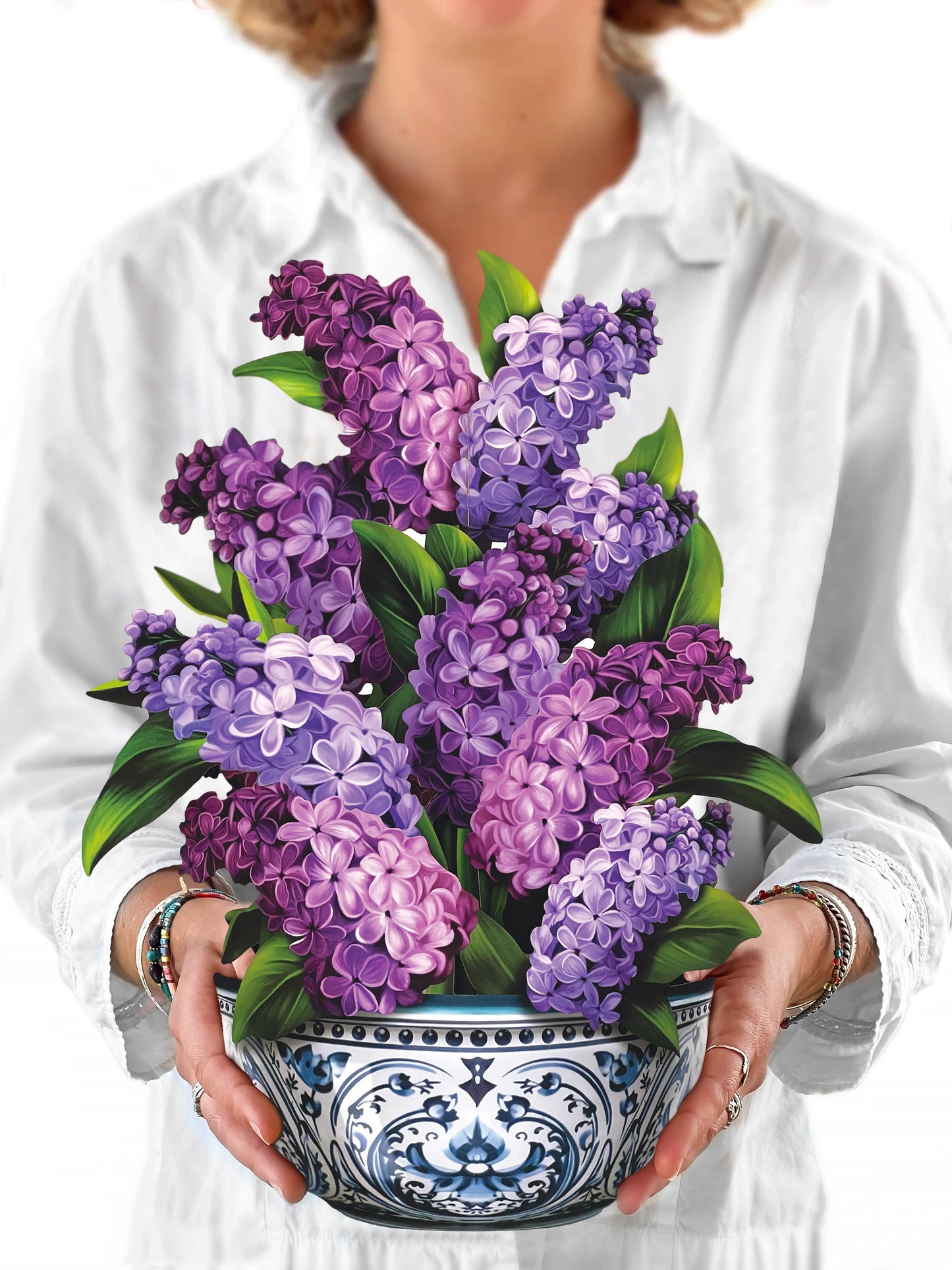 Garden Lilacs Pop-up Greeting Cards