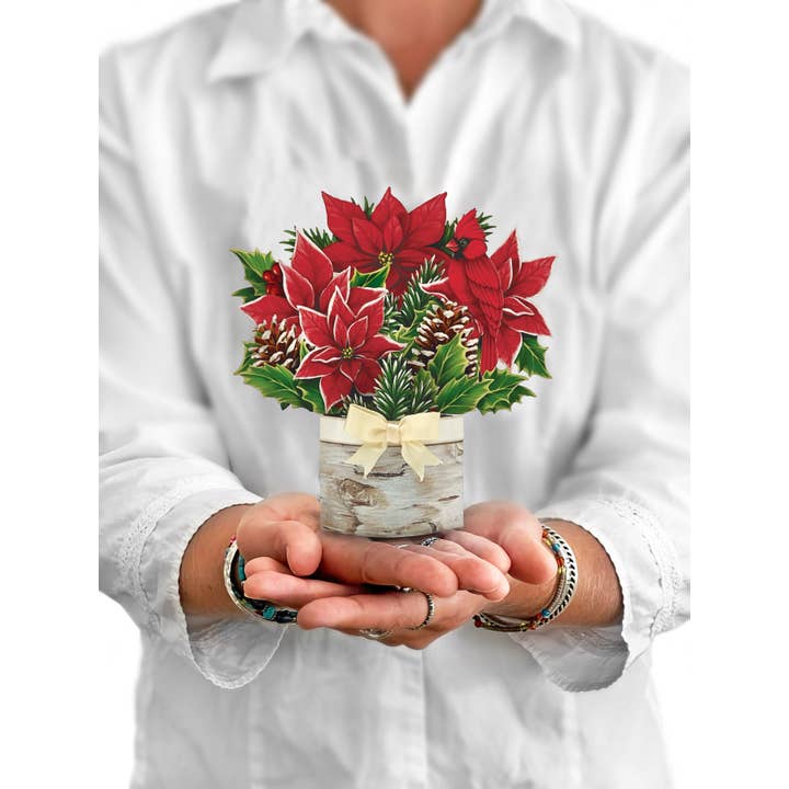 Mini Birch Poinsettia