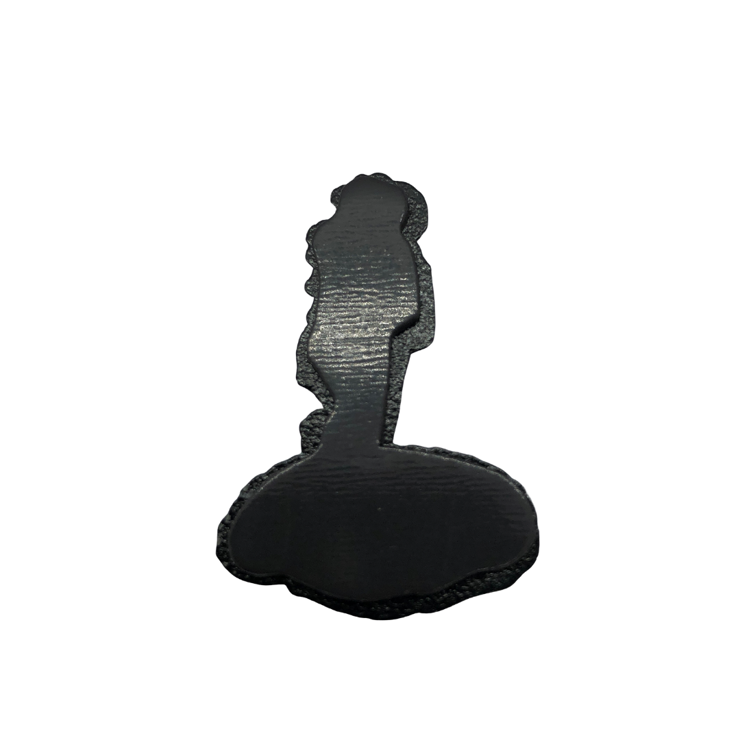 Magnet - Birth of Venus - Botticelli