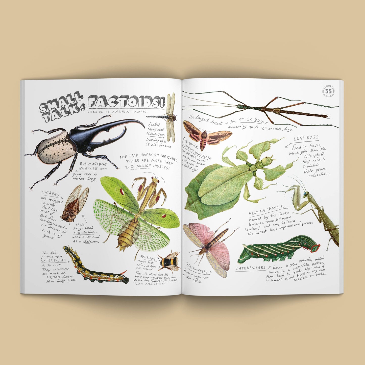 Illustoria 27: Bugs