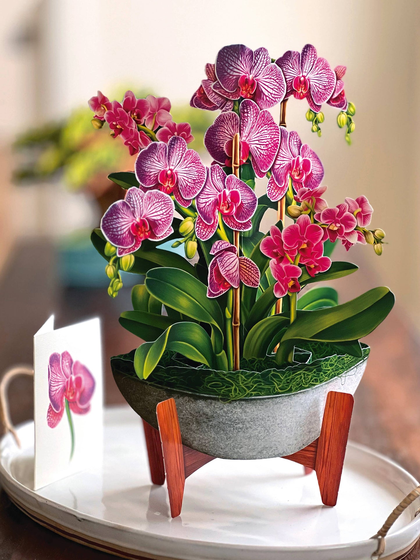 Orchid Oasis Pop-Up Greeting Card