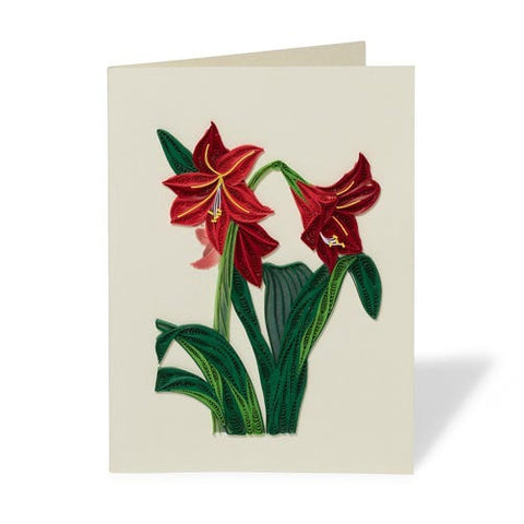 Hybrid Amaryllis Quilled Holiday Card