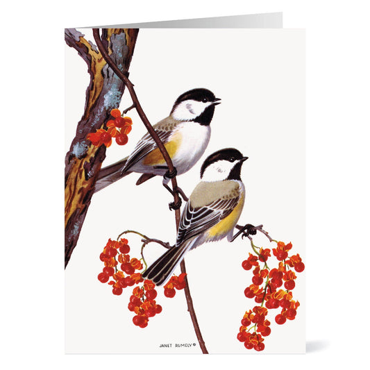 Rumely: Two Chickadees and Bittersweet Holiday Cards