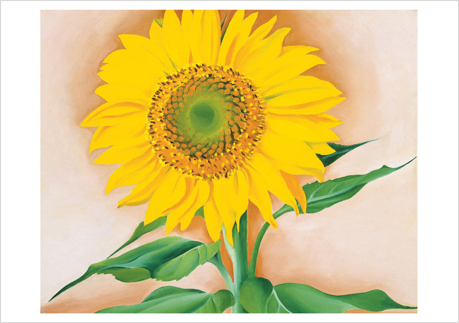 Georgia O'Keeffe: Sunflower Notecard Folio