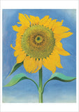 Georgia O'Keeffe: Sunflower Notecard Folio